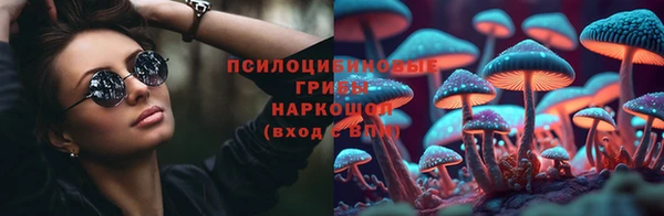 альфа пвп Елизово