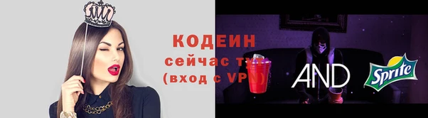 хмурый Елабуга