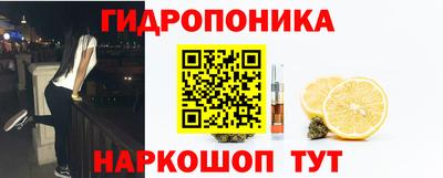СК Рыбинск
