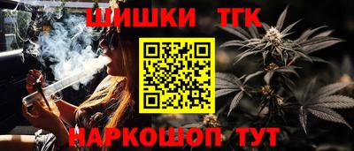 СК Рыбинск