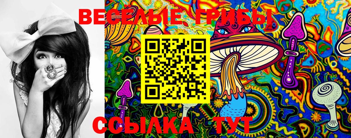 закладка  Псилоцибиновые грибы Psilocybe  Вход с VPN  Туймазы 