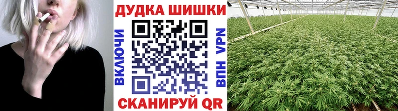 Бошки марихуана планчик  Туймазы 